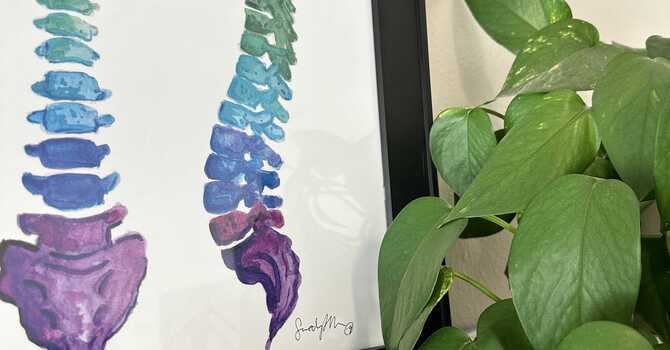 What is Chiropractic? image